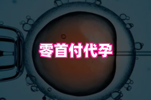 权威助孕网 1
