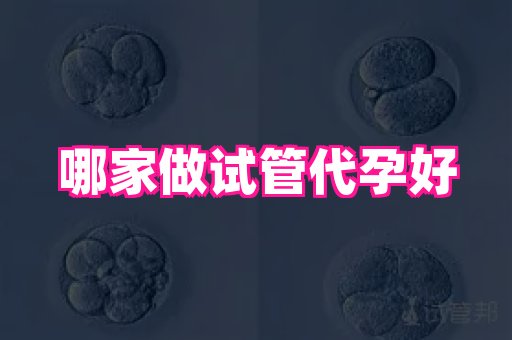权威助孕网 3