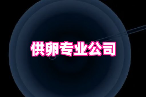 权威助孕网 4